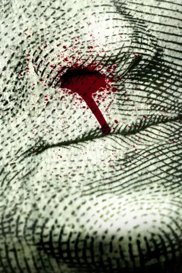 Poster к сериалу "Narcos" #1305556