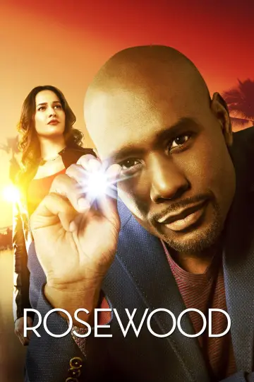 Poster for the TV series "Rosewood" #1361075