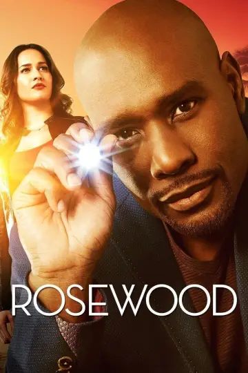 Poster for the TV series "Rosewood" #1361079