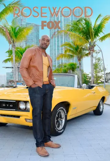 Poster for the TV series "Rosewood" #1361081