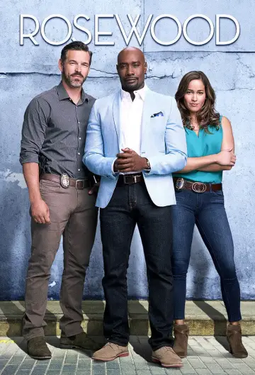 Poster for the TV series "Rosewood" #1361083