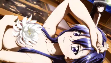 Backdrop for the TV series "Superb Song of the Valkyries: Symphogear" #1386260