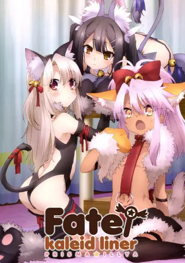 Poster for the TV series "Fate/kaleid liner Prisma Illya" #1374735