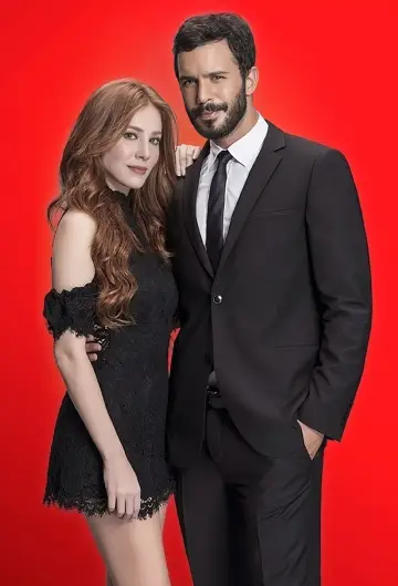 Poster for the TV series "Love for Rent" #1339048