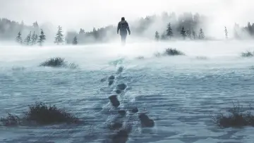 Backdrop к сериалу "Alone" #1223347