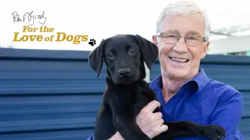 Backdrop for the TV series "For the Love of Dogs" #1668437