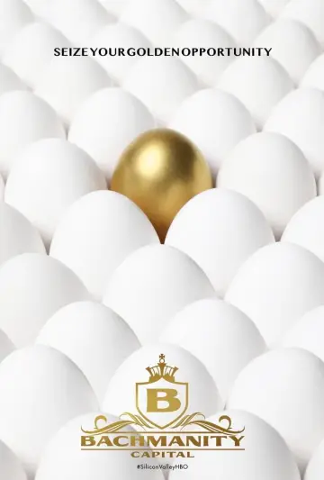 Poster for the TV series "Silicon Valley" #1320663