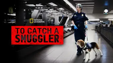 Backdrop for the TV series "To Catch a Smuggler" #1487518