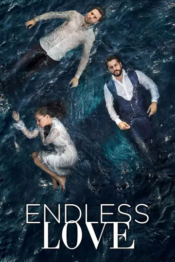 Poster for the TV series "Endless Love" #1325812
