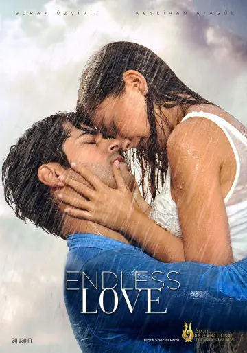 Poster for the TV series "Endless Love" #1325815