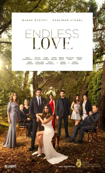 Poster for the TV series "Endless Love" #1325817