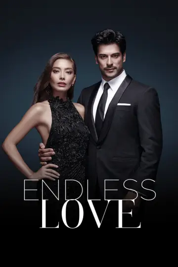 Poster for the TV series "Endless Love" #1325821