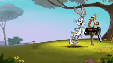 Backdrop for the TV series "New Looney Tunes" #1313128