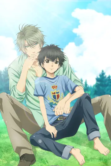 Poster for the TV series "SUPER LOVERS" #1540684