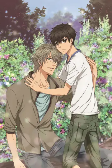 Poster for the TV series "SUPER LOVERS" #1540686
