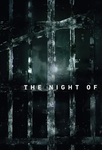 Poster for the TV series "The Night Of" #1402678