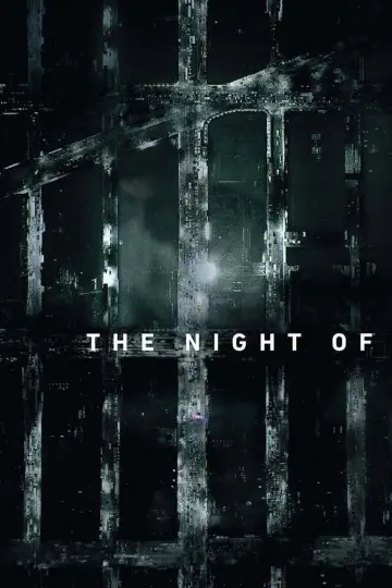 Poster for the TV series "The Night Of" #1402685