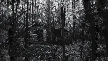 Backdrop for the TV series "Stranger Things" #1239109