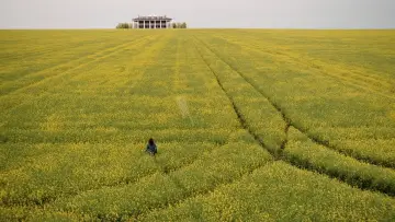 Backdrop for the TV series "Channel Zero" #1439920
