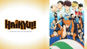 Backdrop for the TV series "Haikyu!!" #1313033