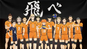 Backdrop for the TV series "Haikyu!!" #1313036
