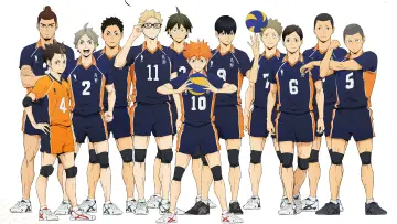 Backdrop for the TV series "Haikyu!!" #1313049