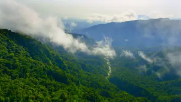 Backdrop for the TV series "Planet Earth II" #1427979