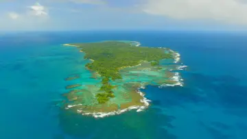 Backdrop for the TV series "Planet Earth II" #1427983
