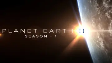 Backdrop for the TV series "Planet Earth II" #1427985