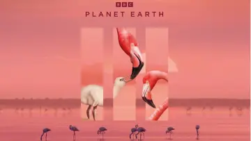 Backdrop for the TV series "Planet Earth II" #1427986