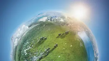 Backdrop for the TV series "Planet Earth II" #1427987
