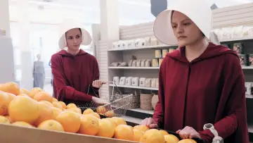Backdrop for the TV series "The Handmaid