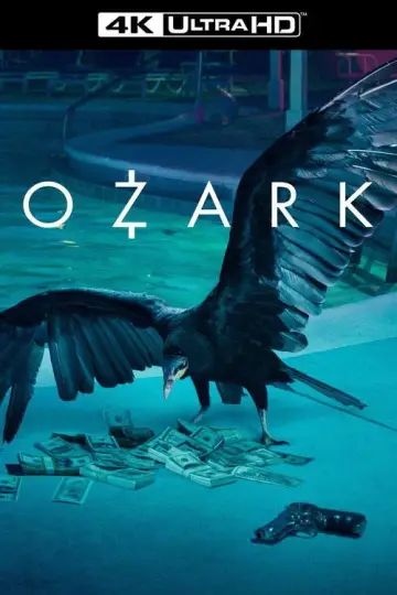 Poster for the TV series "Ozark" #1310389