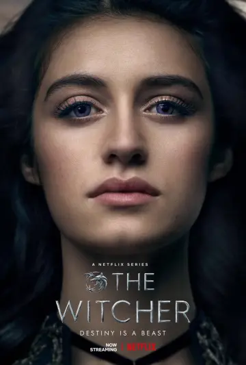 Poster for the TV series "The Witcher" #1284689