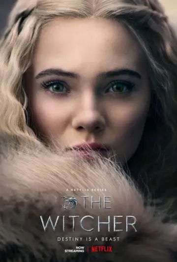 Poster for the TV series "The Witcher" #1284691