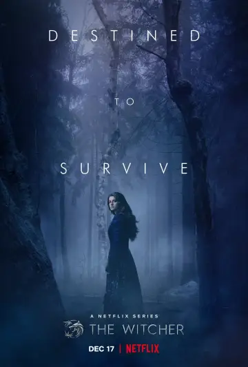 Poster for the TV series "The Witcher" #1284693