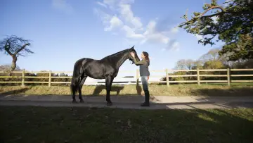 Backdrop for the TV series "Free Rein" #1458930