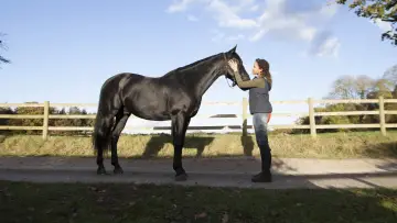 Backdrop for the TV series "Free Rein" #1458932