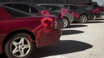 Backdrop for the TV series "American Vandal" #1447794