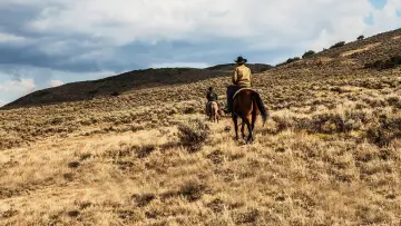 Backdrop к сериалу "Yellowstone" #1317638