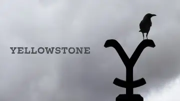 Backdrop к сериалу "Yellowstone" #1317659