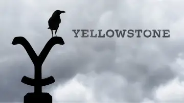 Backdrop к сериалу "Yellowstone" #1317668