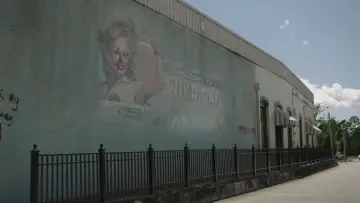 Backdrop for the TV series "Sharp Objects" #1401464
