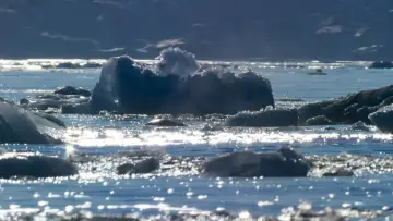Backdrop к сериалу "Blue Planet II" #1454204