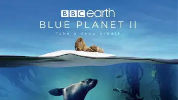 Backdrop к сериалу "Blue Planet II" #1454209
