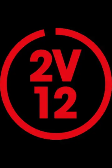 2 voor 12 poster