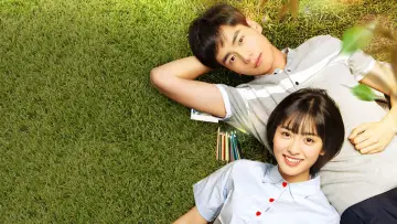Backdrop for the TV series "A Love So Beautiful" #1454020