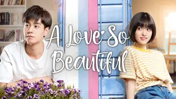 Backdrop for the TV series "A Love So Beautiful" #1454027
