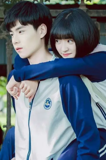 Poster for the TV series "A Love So Beautiful" #1454031