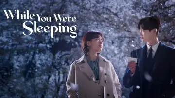 Backdrop for the TV series "While You Were Sleeping" #1391588